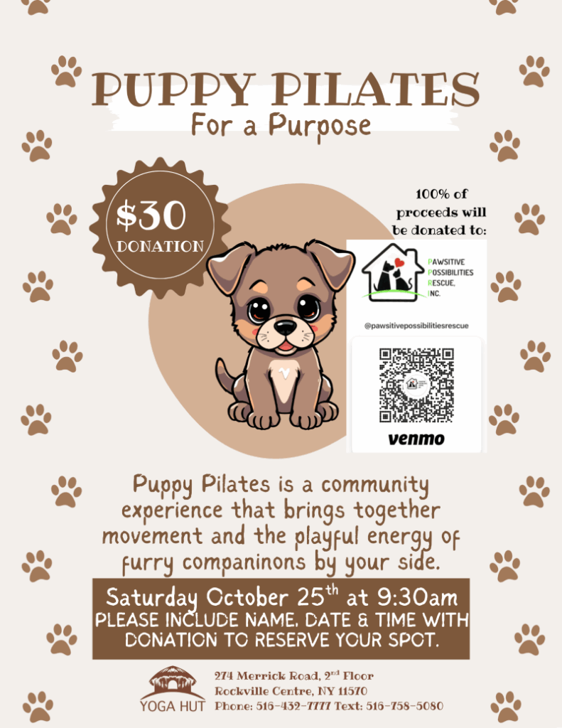 Yoga Hut RVC - Puppy Pilates for a Purpose