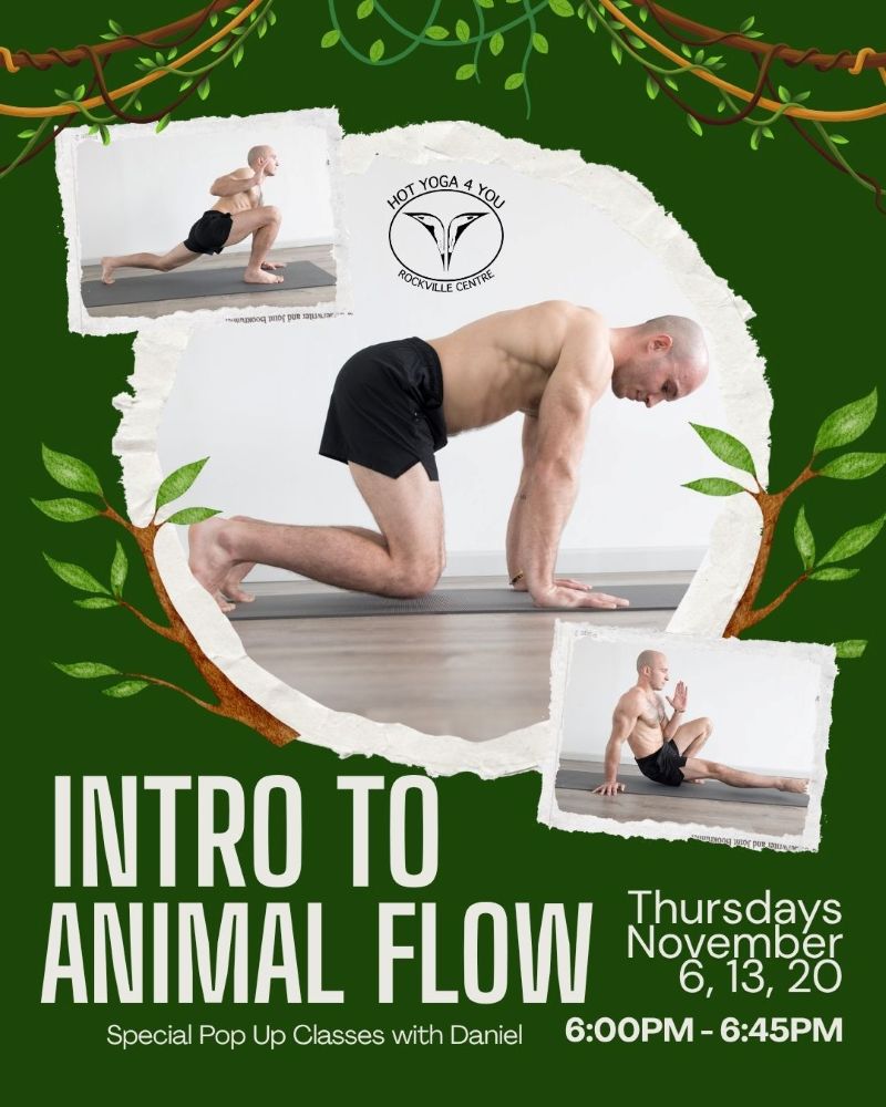 Hot Yoga 4 You RVC - 2025-11-06 Animal Flow Dan Nov